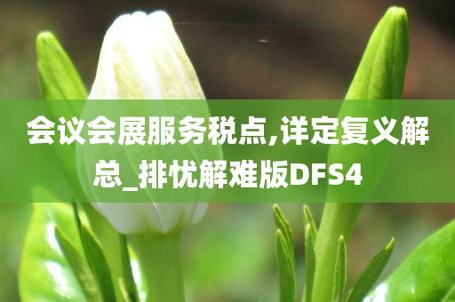 会议会展服务税点,详定复义解总_排忧解难版DFS4