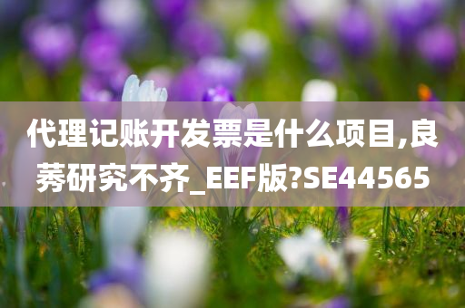 代理记账开发票是什么项目,良莠研究不齐_EEF版?SE44565