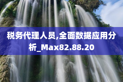 税务代理人员,全面数据应用分析_Max82.88.20