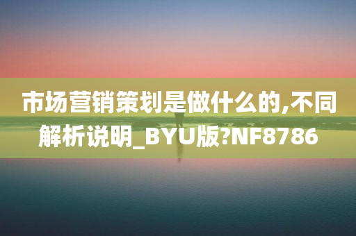 市场营销策划是做什么的,不同解析说明_BYU版?NF8786