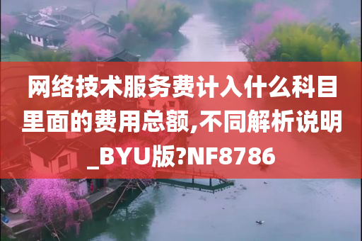 网络技术服务费计入什么科目里面的费用总额,不同解析说明_BYU版?NF8786