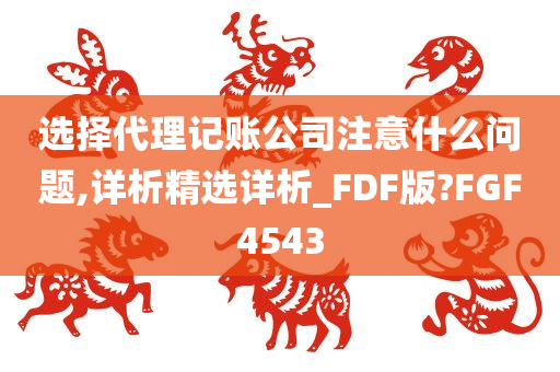 选择代理记账公司注意什么问题,详析精选详析_FDF版?FGF4543