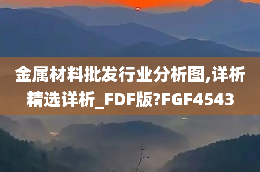 金属材料批发行业分析图,详析精选详析_FDF版?FGF4543