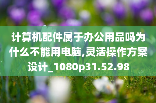 计算机配件属于办公用品吗为什么不能用电脑,灵活操作方案设计_1080p31.52.98