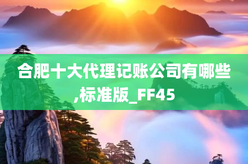 合肥十大代理记账公司有哪些,标准版_FF45