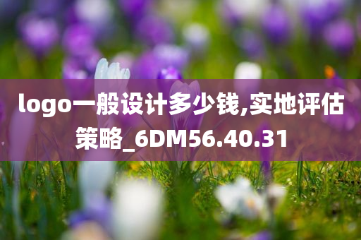 logo一般设计多少钱,实地评估策略_6DM56.40.31