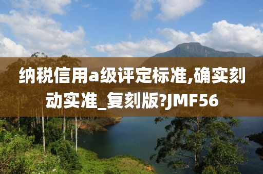 纳税信用a级评定标准,确实刻动实准_复刻版?JMF56