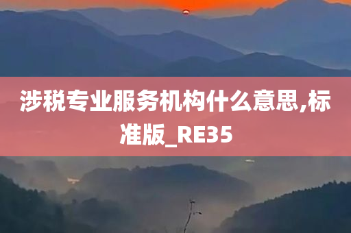 涉税专业服务机构什么意思,标准版_RE35