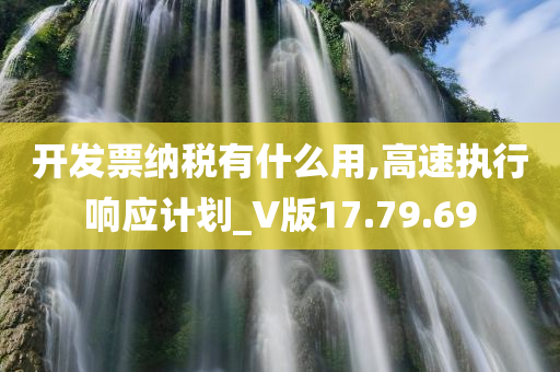 开发票纳税有什么用,高速执行响应计划_V版17.79.69