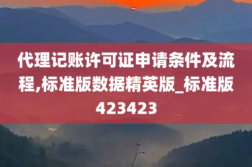 代理记账许可证申请条件及流程,标准版数据精英版_标准版423423