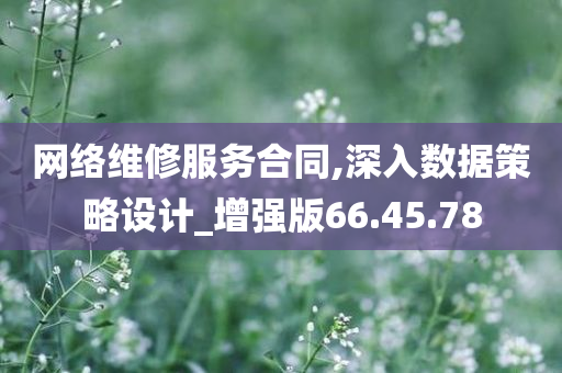 网络维修服务合同,深入数据策略设计_增强版66.45.78