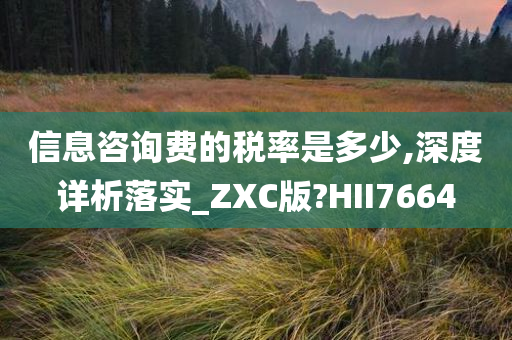 信息咨询费的税率是多少,深度详析落实_ZXC版?HII7664