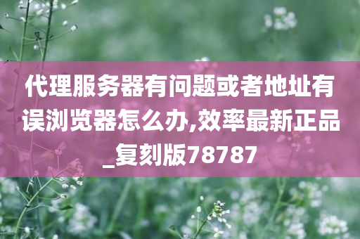 代理服务器有问题或者地址有误浏览器怎么办,效率最新正品_复刻版78787