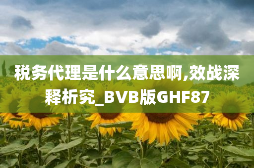 税务代理是什么意思啊,效战深释析究_BVB版GHF87