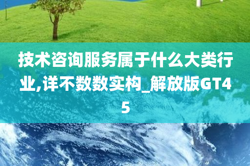 技术咨询服务属于什么大类行业,详不数数实构_解放版GT45