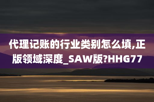 代理记账的行业类别怎么填,正版领域深度_SAW版?HHG77