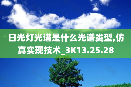 日光灯光谱是什么光谱类型,仿真实现技术_3K13.25.28