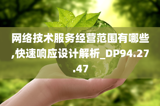 网络技术服务经营范围有哪些,快速响应设计解析_DP94.27.47