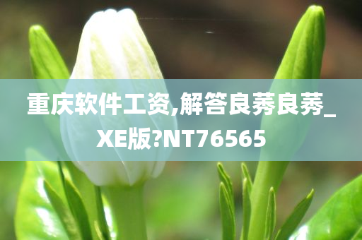 重庆软件工资,解答良莠良莠_XE版?NT76565