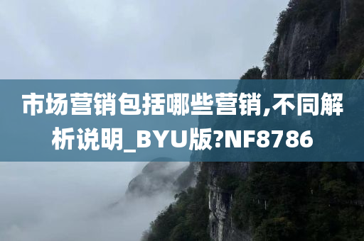 市场营销包括哪些营销,不同解析说明_BYU版?NF8786