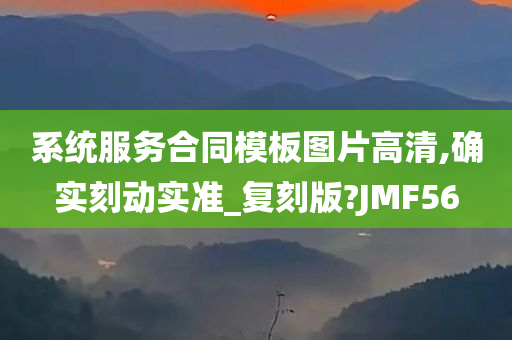 系统服务合同模板图片高清,确实刻动实准_复刻版?JMF56