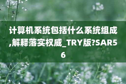 计算机系统包括什么系统组成,解释落实权威_TRY版?SAR56