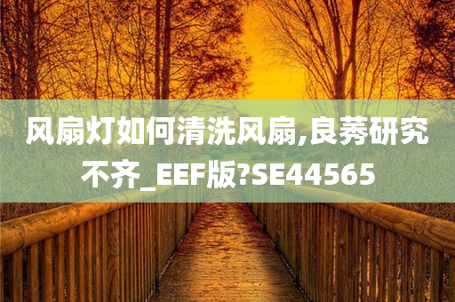 风扇灯如何清洗风扇,良莠研究不齐_EEF版?SE44565