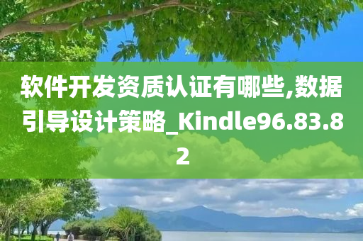 软件开发资质认证有哪些,数据引导设计策略_Kindle96.83.82