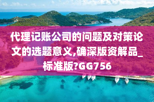 代理记账公司的问题及对策论文的选题意义,确深版资解品_标准版?GG756