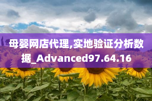 母婴网店代理,实地验证分析数据_Advanced97.64.16