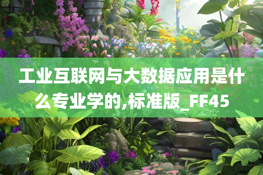 工业互联网与大数据应用是什么专业学的,标准版_FF45