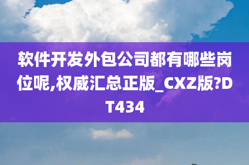 软件开发外包公司都有哪些岗位呢,权威汇总正版_CXZ版?DT434