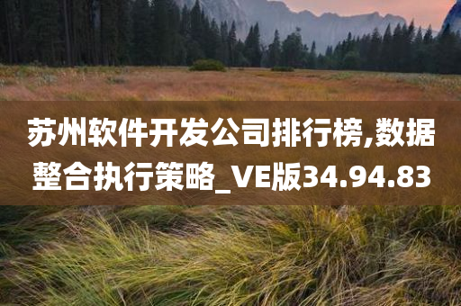 苏州软件开发公司排行榜,数据整合执行策略_VE版34.94.83