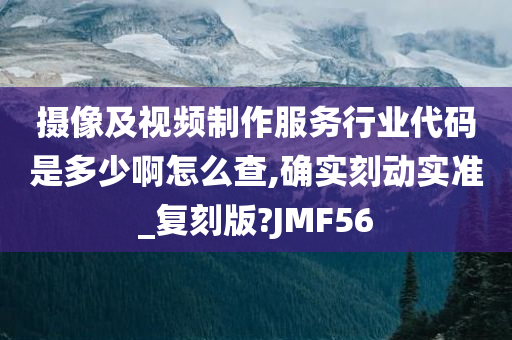 摄像及视频制作服务行业代码是多少啊怎么查,确实刻动实准_复刻版?JMF56