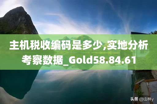 主机税收编码是多少,实地分析考察数据_Gold58.84.61