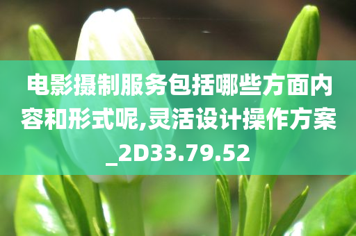 电影摄制服务包括哪些方面内容和形式呢,灵活设计操作方案_2D33.79.52