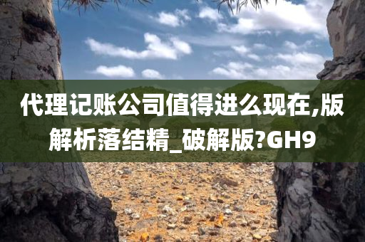 代理记账公司值得进么现在,版解析落结精_破解版?GH9