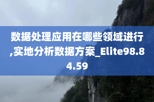 数据处理应用在哪些领域进行,实地分析数据方案_Elite98.84.59