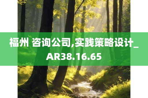 福州 咨询公司,实践策略设计_AR38.16.65