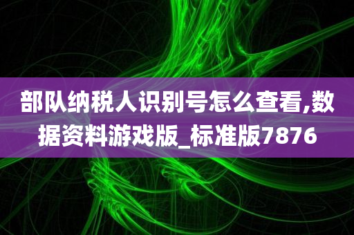 部队纳税人识别号怎么查看,数据资料游戏版_标准版7876