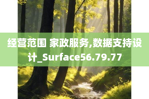 经营范围 家政服务,数据支持设计_Surface56.79.77