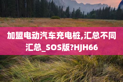 加盟电动汽车充电桩,汇总不同汇总_SOS版?HJH66