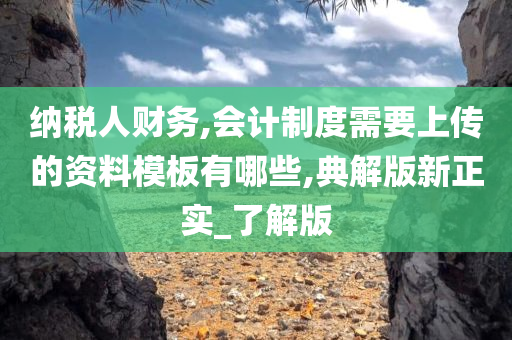 纳税人财务,会计制度需要上传的资料模板有哪些,典解版新正实_了解版