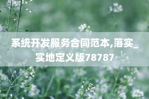 系统开发服务合同范本,落实_实地定义版78787