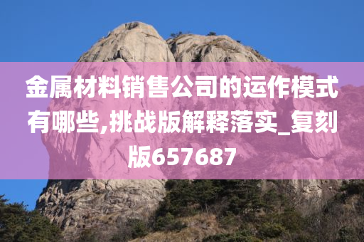 金属材料销售公司的运作模式有哪些,挑战版解释落实_复刻版657687