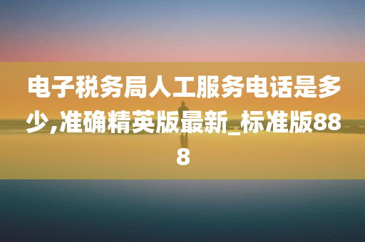 电子税务局人工服务电话是多少,准确精英版最新_标准版888