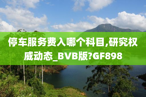 停车服务费入哪个科目,研究权威动态_BVB版?GF898