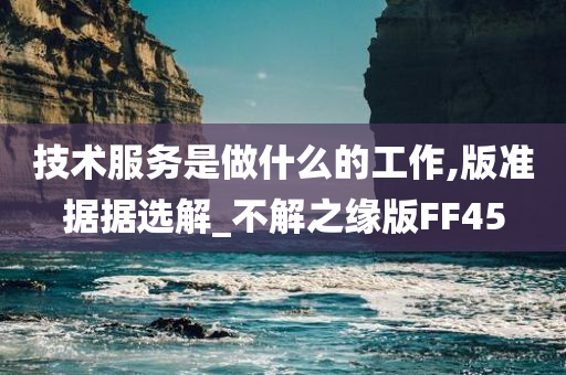 技术服务是做什么的工作,版准据据选解_不解之缘版FF45