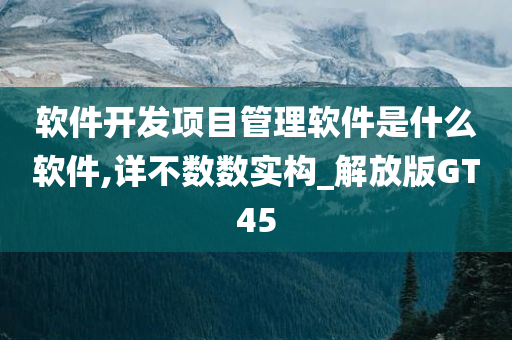 软件开发项目管理软件是什么软件,详不数数实构_解放版GT45