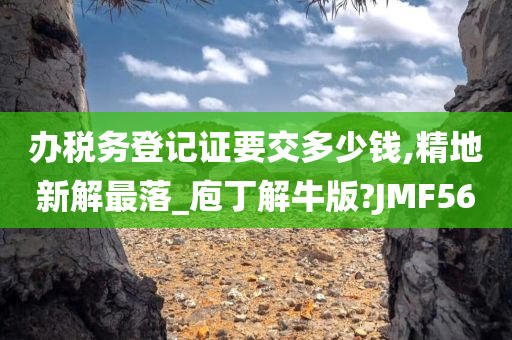 办税务登记证要交多少钱,精地新解最落_庖丁解牛版?JMF56